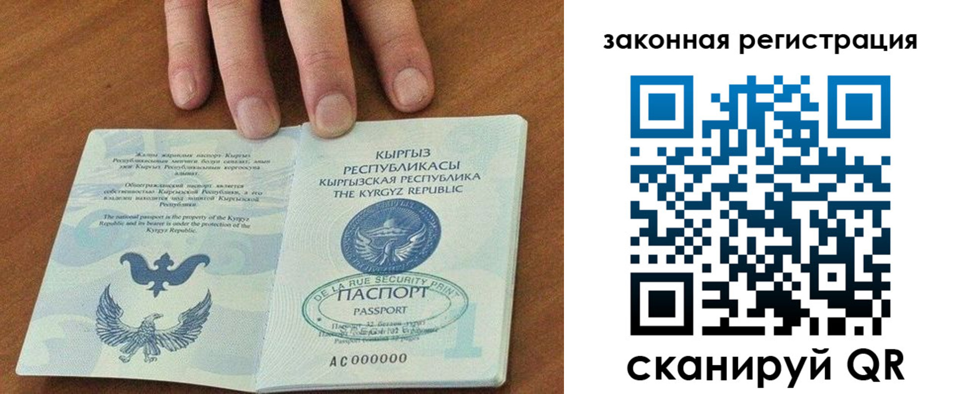 прописка гарантия в Заринске